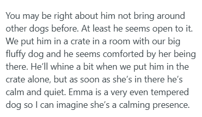 You may be right about him not bring around other dogs before. At least he seems open to it. We put him in a crate in a room with our big fluffy dog and he seems comforted by her being there. He'll whine a bit when we put him in the crate alone, but as soon as she's in there he's calm and quiet. Emma is a very even tempered dog so I can imagine she's a calming presence.