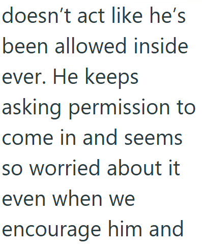 doesn't act like he's been allowed inside ever. He keeps asking permission to come in and seems so worried about it even when we encourage him and