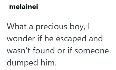 melainei What a precious boy, I wonder if he escaped and wasn't found or if someone dumped him.