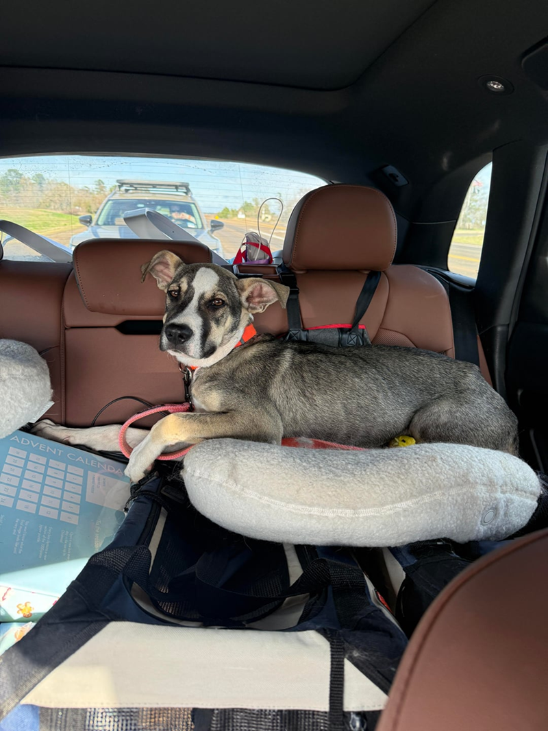 ADVENT CALENDA C 9 44