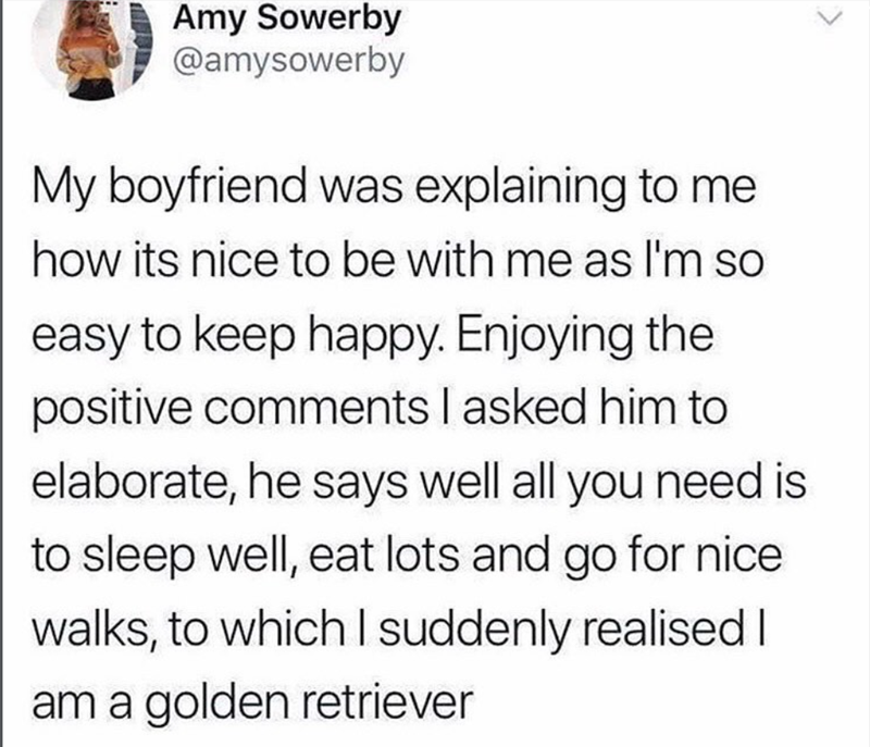 Amy Sowerby @amysowerby > My boyfriend was explaining to me how its nice to be with me as I'm so easy to keep happy. Enjoying the positive comments I asked him to elaborate, he says well all you need is to sleep well, eat lots and go for nice walks, to which I suddenly realised I am a golden retriever
