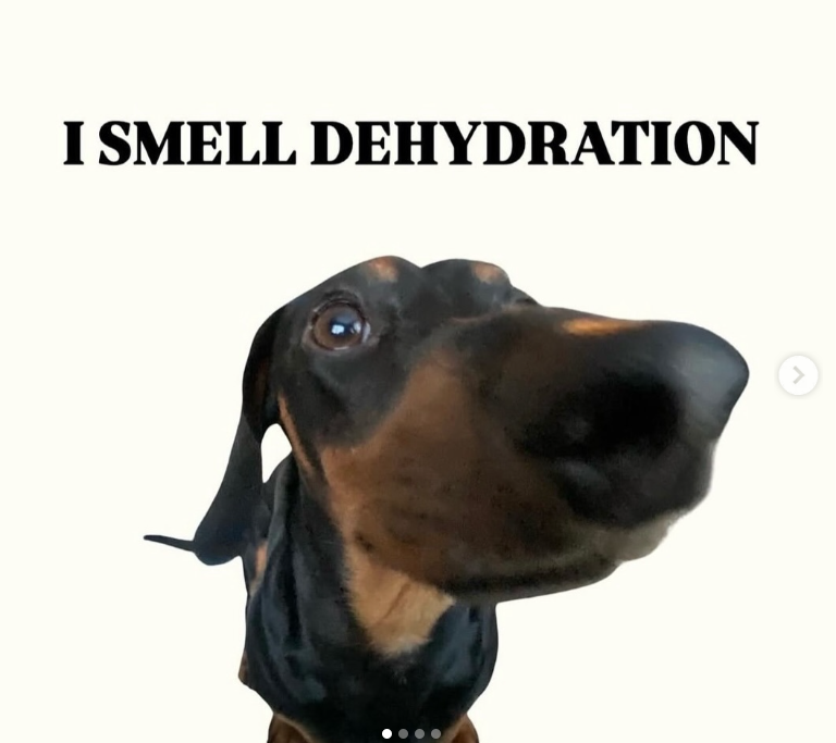 I SMELL DEHYDRATION >