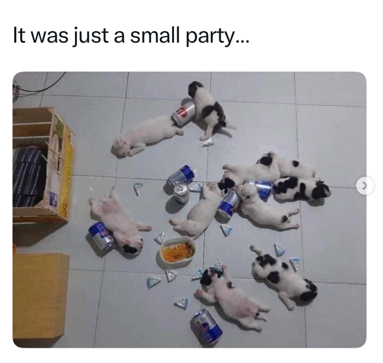 It was just a small party... >