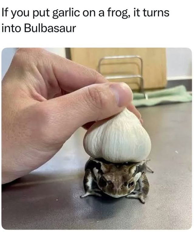 If you put garlic on a frog, it turns into Bulbasaur