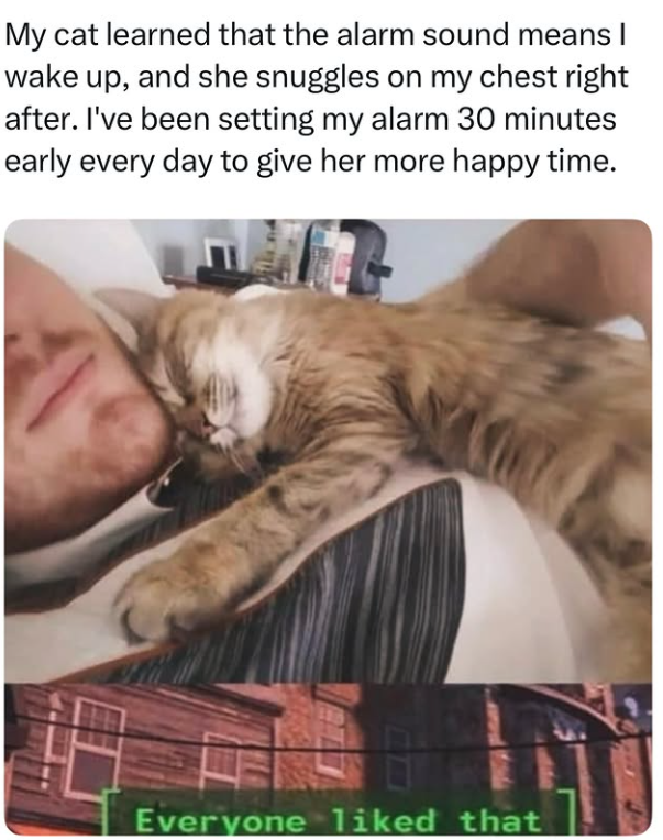 My cat learned that the alarm sound means I wake up, and she snuggles on my chest right after. I've been setting my alarm 30 minutes early every day to give her more happy time. Everyone liked that