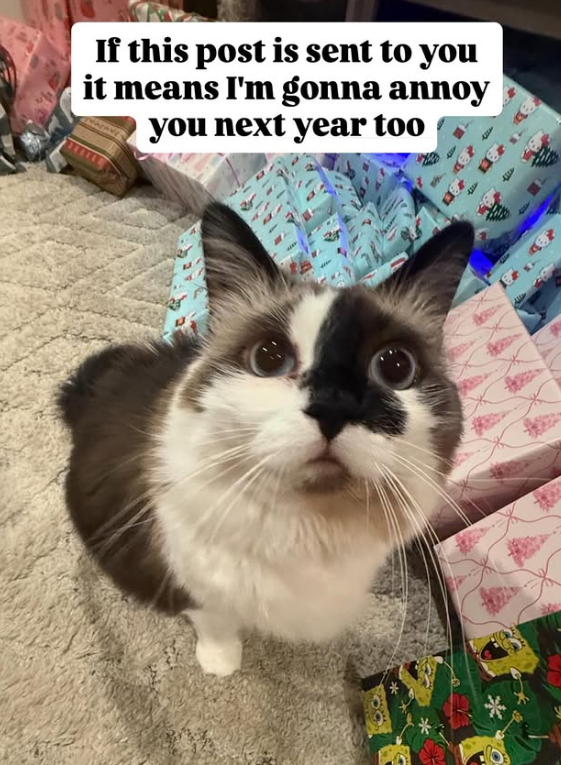 If this post is sent to you it means I'm gonna annoy you next year too Alle