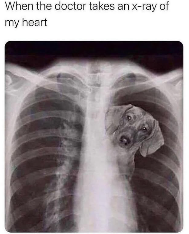 When the doctor takes an x-ray of my heart