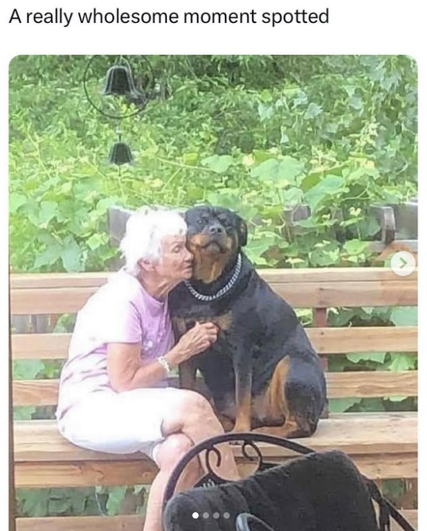 A really wholesome moment spotted