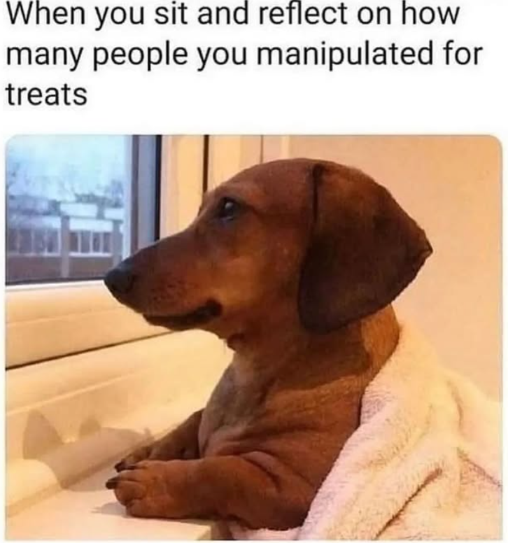 When you sit and reflect on how many people you manipulated for treats