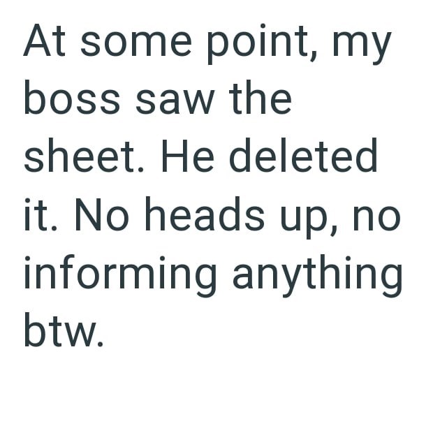 At some point, my boss saw the sheet. He deleted it. No heads up, no informing anything btw.