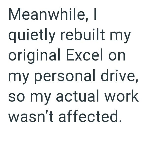 Meanwhile, I quietly rebuilt my original Excel on my personal drive, so my actual work wasn't affected.