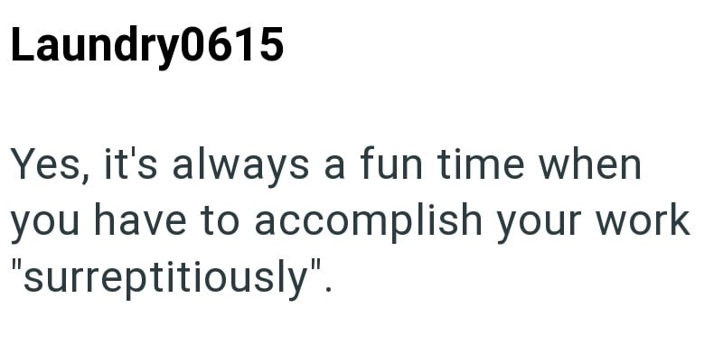 Laundry0615 Yes, it's always a fun time when you have to accomplish your work "surreptitiously".