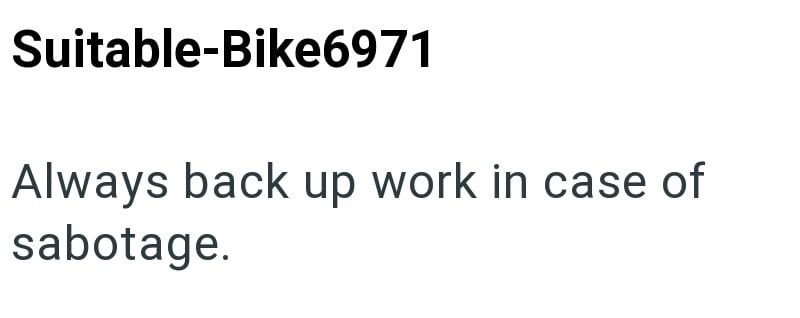 Suitable-Bike6971 Always back up work in case of sabotage.