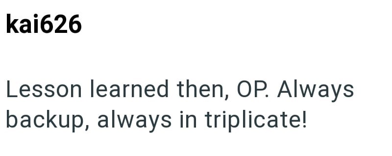 kai626 Lesson learned then, OP. Always backup, always in triplicate!