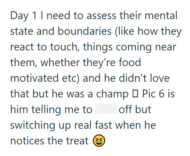 Day 1 I need to assess their mental state and boundaries (like how they react to touch, things coming near them, whether they're food motivated etc) and he didn't love that but he was a champ □ Pic 6 is him telling me to off but switching up real fast when he notices the treat ②
