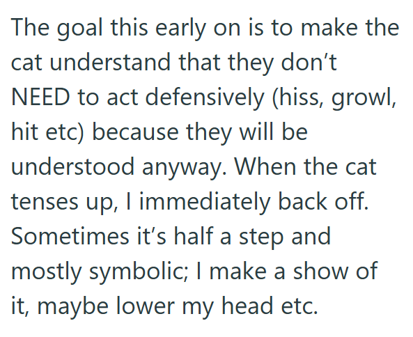 The goal this early on is to make the cat understand that they don't NEED to act defensively (hiss, growl, hit etc) because they will be understood anyway. When the cat tenses up, I immediately back off. Sometimes it's half a step and mostly symbolic; I make a show of it, maybe lower my head etc.