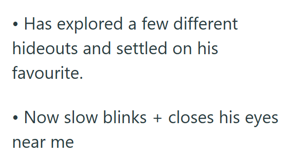 • Has explored a few different hideouts and settled on his favourite. • Now slow blinks + closes his eyes near me