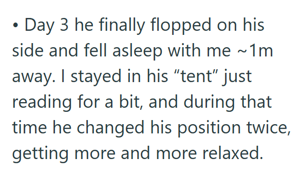 • Day 3 he finally flopped on his side and fell asleep with me ~1m away. I stayed in his "tent" just reading for a bit, and during that time he changed his position twice, getting more and more relaxed.