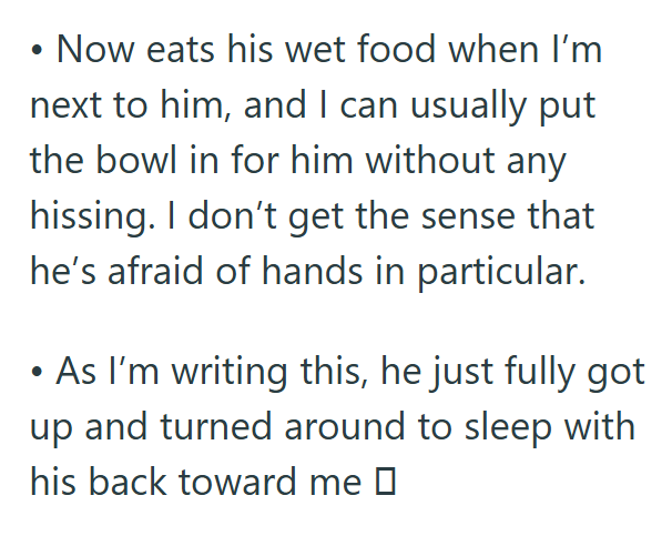 • Now eats his wet food when I'm next to him, and I can usually put the bowl in for him without any hissing. I don't get the sense that he's afraid of hands in particular. • As I'm writing this, he just fully got up and turned around to sleep with his back toward me