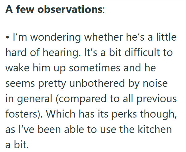 A few observations: I'm wondering whether he's a little hard of hearing. It's a bit difficult to wake him up sometimes and he seems pretty unbothered by noise in general (compared to all previous fosters). Which has its perks though, as I've been able to use the kitchen a bit.