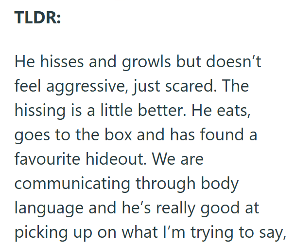 TLDR: He hisses and growls but doesn't feel aggressive, just scared. The hissing is a little better. He eats, goes to the box and has found a favourite hideout. We are communicating through body language and he's really good at picking up on what I'm trying to say,