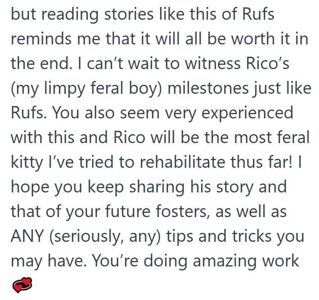 but reading stories like this of Rufs reminds me that it will all be worth it in the end. I can't wait to witness Rico's (my limpy feral boy) milestones just like Rufs. You also seem very experienced with this and Rico will be the most feral kitty I've tried to rehabilitate thus far! I hope you keep sharing his story and that of your future fosters, as well as ANY (seriously, any) tips and tricks you may have. You're doing amazing work