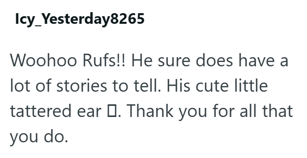 Icy_Yesterday8265 Woohoo Rufs!! He sure does have a lot of stories to tell. His cute little tattered ear □. Thank you for all that you do.