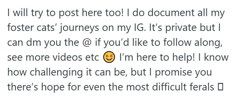 I will try to post here too! I do document all my foster cats' journeys on my IG. It's private but I can dm you the @ if you'd like to follow along, see more videos etc ③I'm here to help! I know how challenging it can be, but I promise you there's hope for even the most difficult ferals