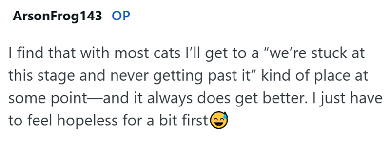 Arson Frog 143 OP I find that with most cats I'll get to a "we're stuck at this stage and never getting past it” kind of place at some point-and it always does get better. I just have to feel hopeless for a bit first②