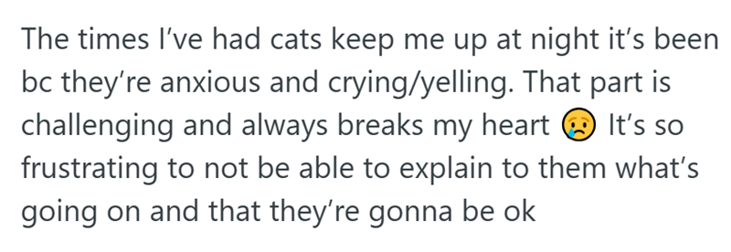 The times I've had cats keep me up at night it's been bc they're anxious and crying/yelling. That part is challenging and always breaks my heart It's so frustrating to not be able to explain to them what's going on and that they're gonna be ok