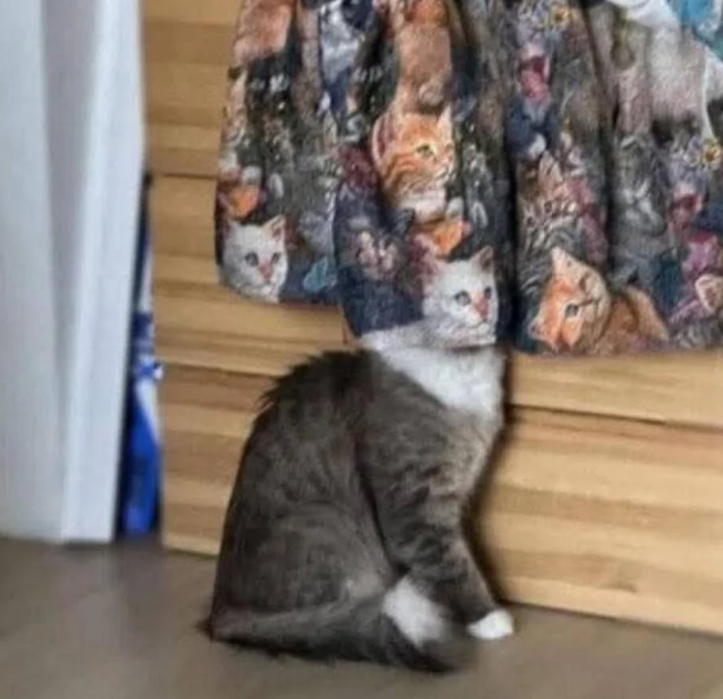 Cheezburger Image 10621638656