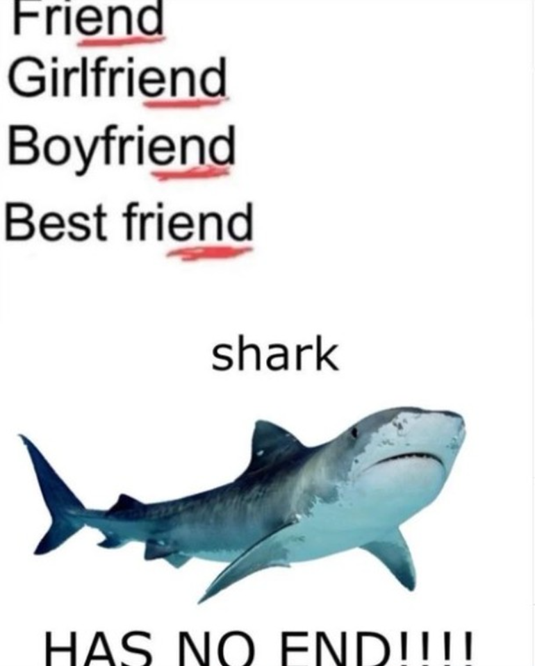 Friend Girlfriend Boyfriend Best friend shark HAS NO END!!!!
