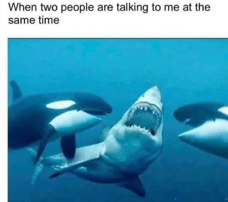 When two people are talking to me at the same time