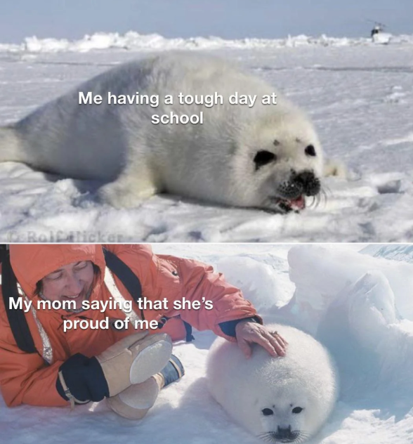 Me having a tough day at school Rolf Ticker My mom saying that she's proud of me