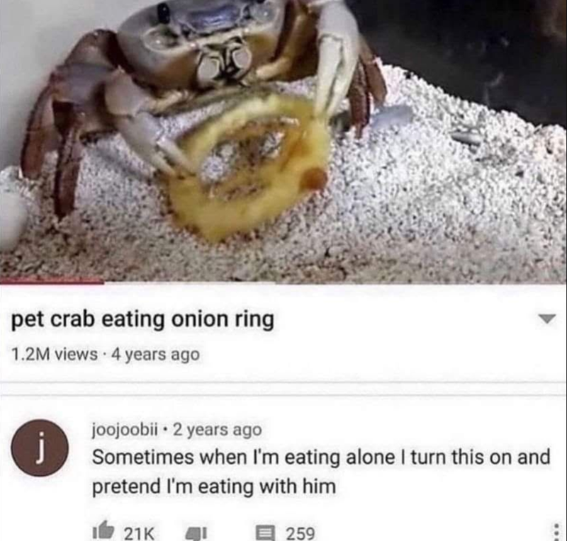 pet crab eating onion ring 1.2M views 4 years ago j joojoobii • 2 years ago Sometimes when I'm eating alone I turn this on and pretend I'm eating with him 21K 259
