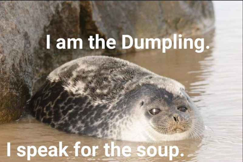 I am the Dumpling. I speak for the soup.