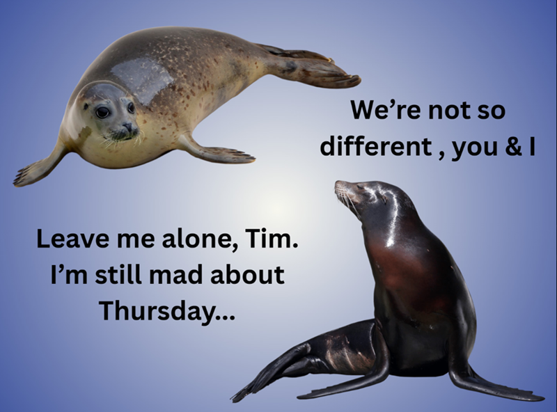 Leave me alone, Tim. I'm still mad about Thursday... We're not so different, you & I