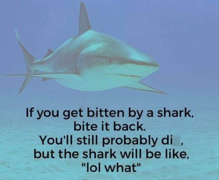 If you get bitten by a shark, bite it back. You'll still probably di, but the shark will be like, "lol what"