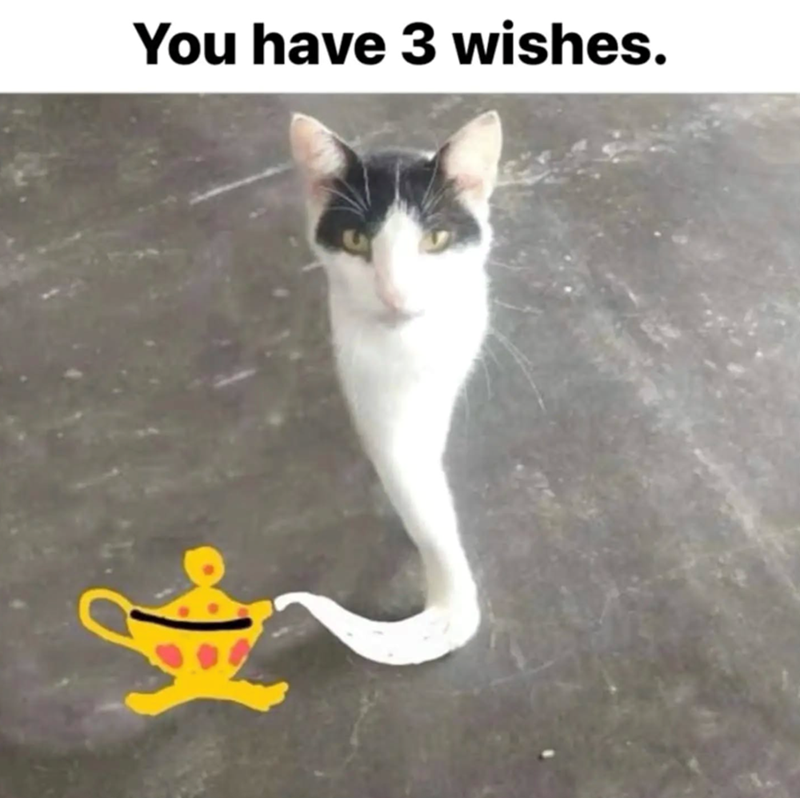 You have 3 wishes.