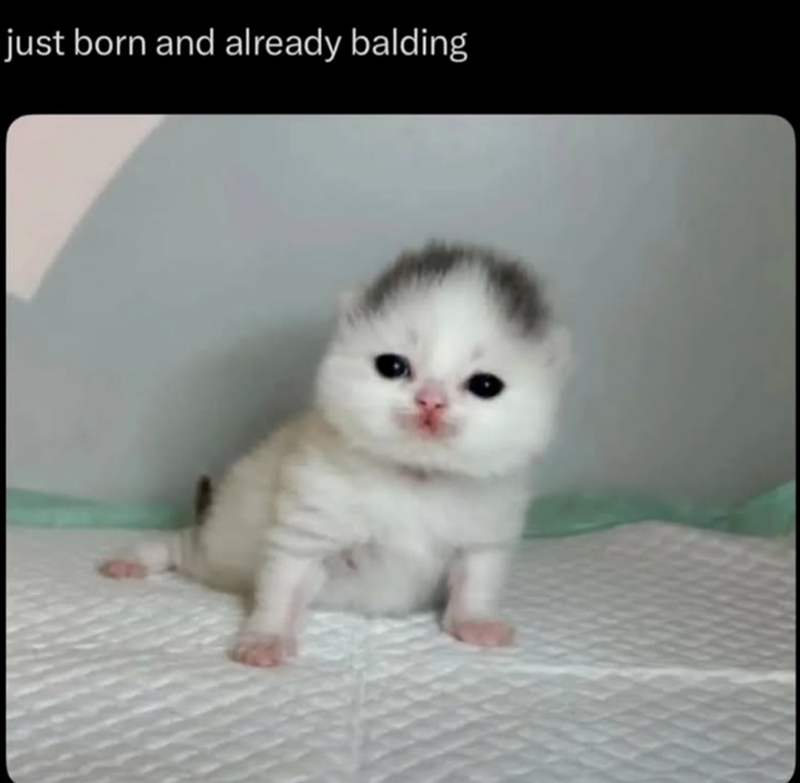 just born and already balding