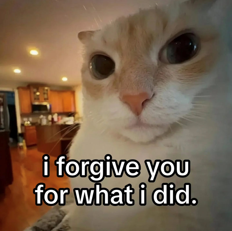 i forgive you for what i did.