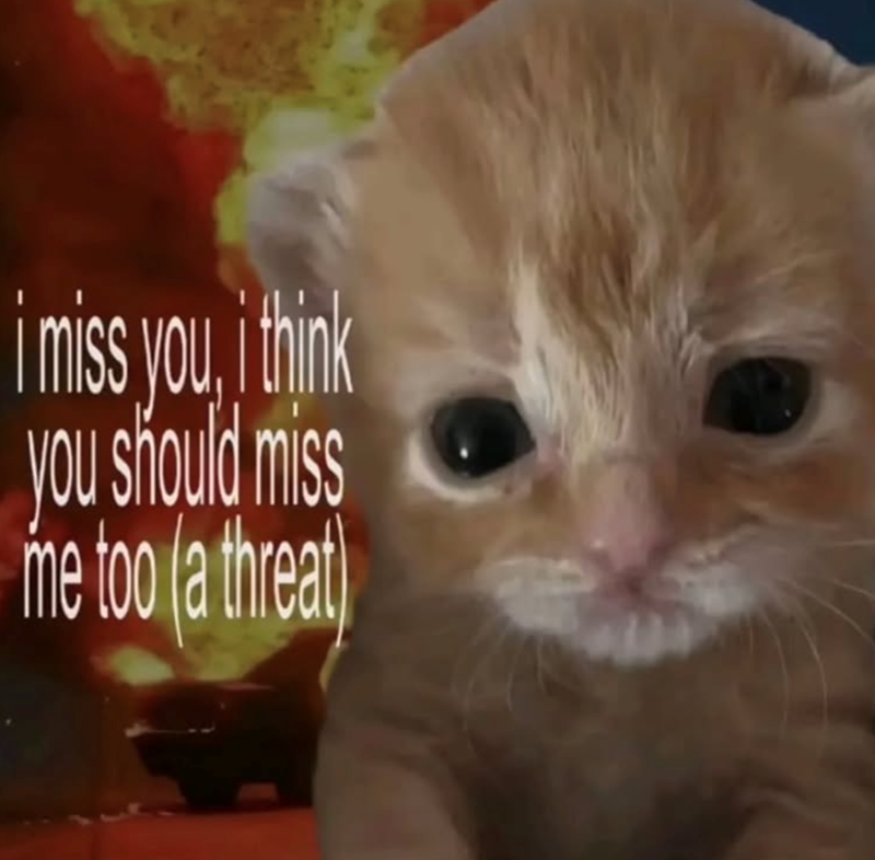 i miss you, i think you should miss me too (a threat