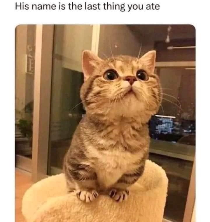 His name is the last thing you ate