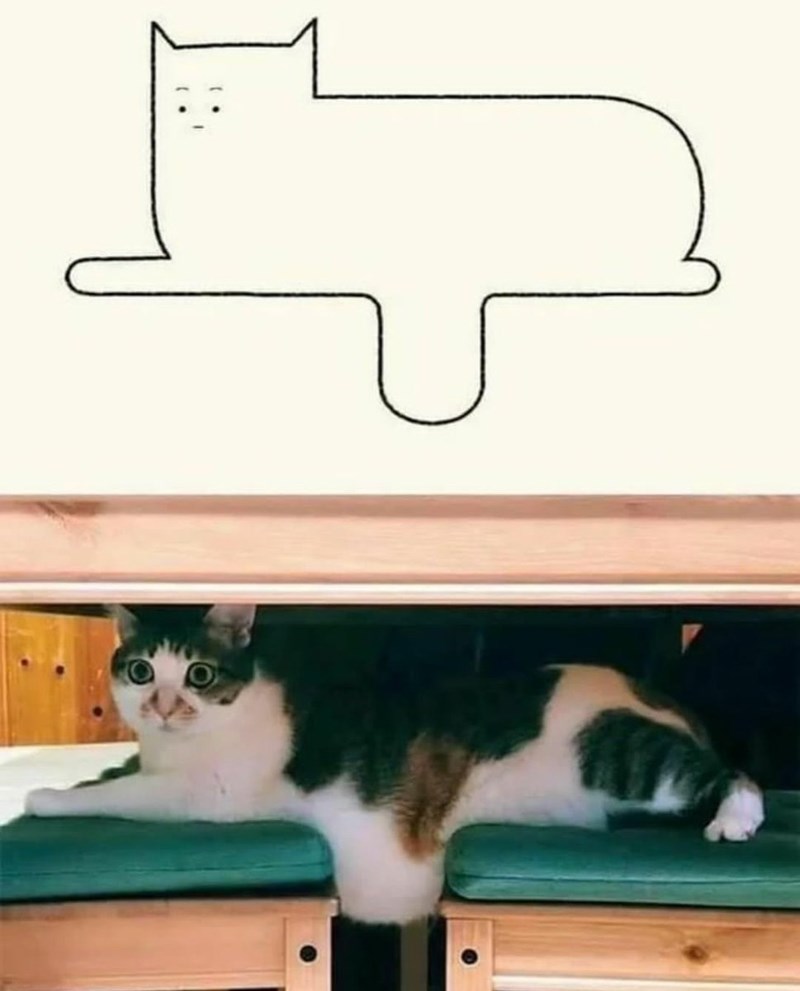 Cheezburger Image 10621651456