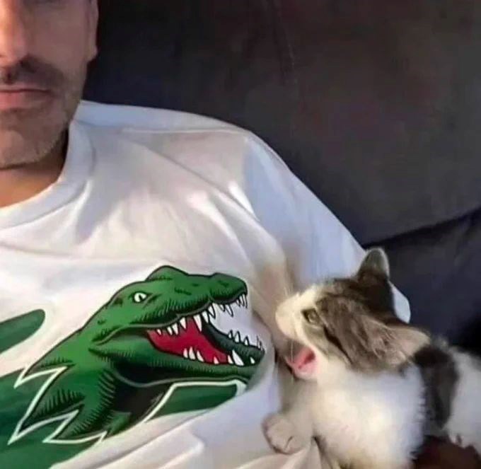 Cheezburger Image 10621651968