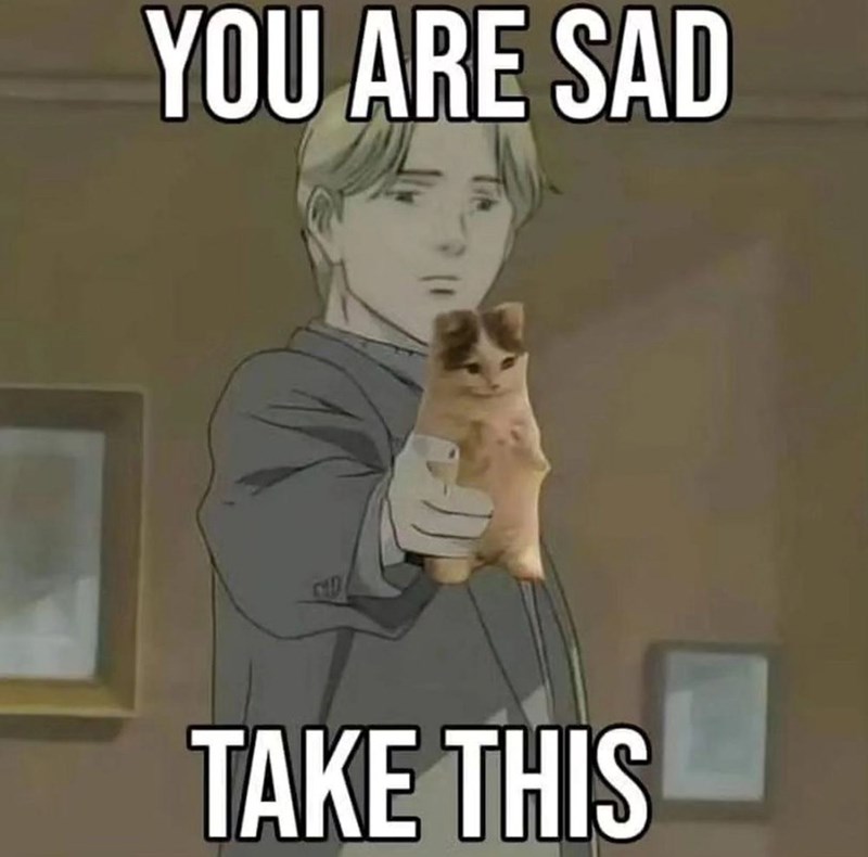 YOU ARE SAD TAKE THIS