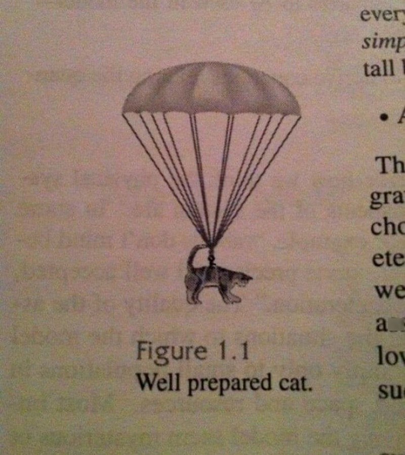 ever simp tall Th gra cho ete we Figure 1.1 Well prepared cat. a lov su