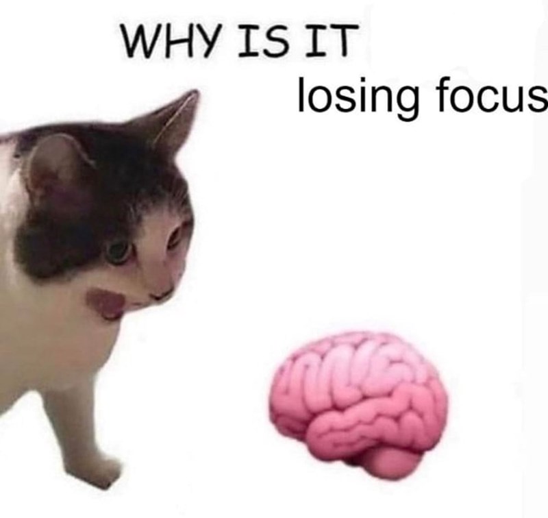 WHY IS IT losing focus
