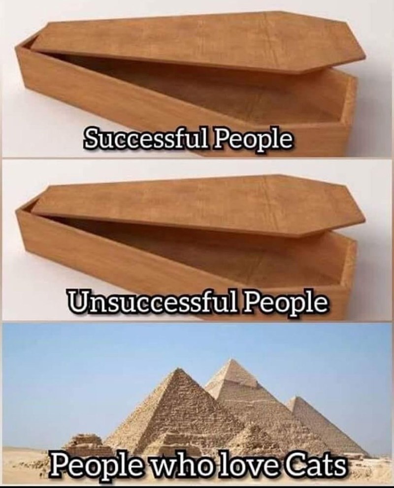 Successful People Unsuccessful People People who love Cats