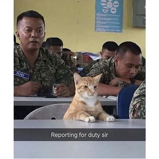 FANDI AD Reporting for duty sir